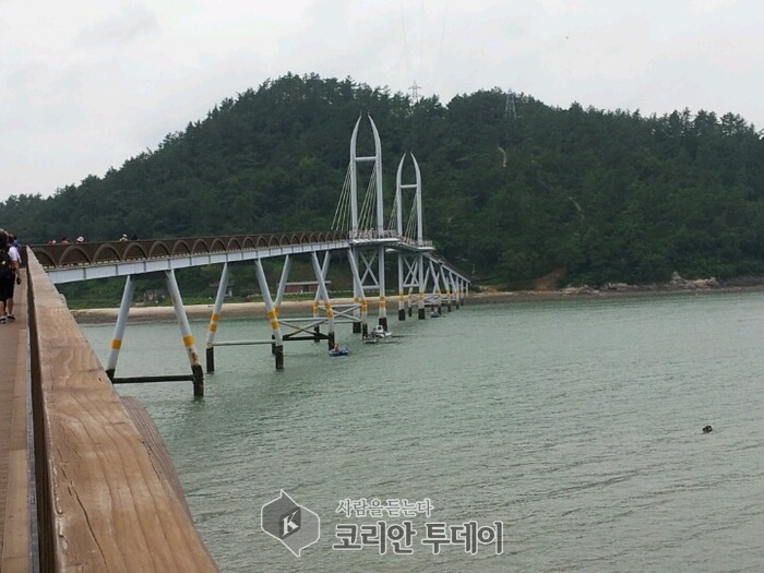 전남도, 서남해안 섬 지역 ‘명품 테마숲’ 조성