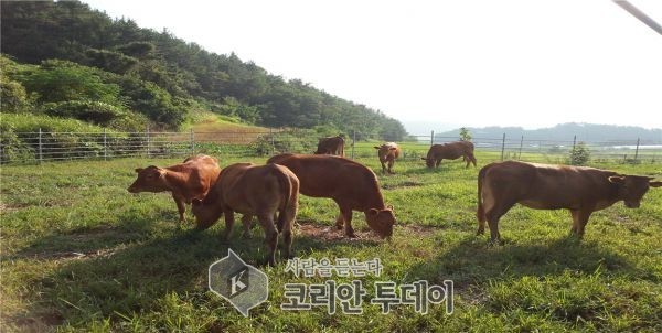 전남도, ‘동물복지형 녹색축산농장’ 지정 확대