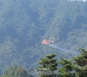 전남도, 밤 생산 농가 ‘친환경 항공방제’