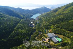 5월 명품숲에 완도수목원 난대숲