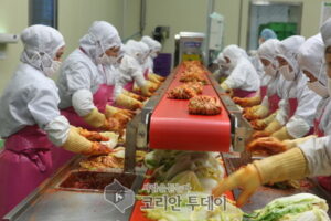 전남도 ‘국산김치 사용 표시제’ 전국 확산