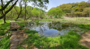 광주 평두메습지, 국내 최초 람사르습지로 등록