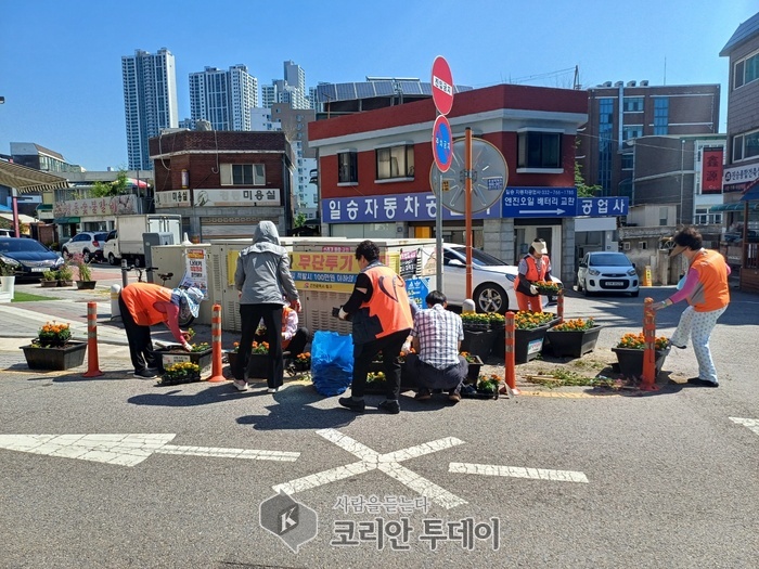 [코리안투데이] 중구 율목동 주민들이 주민 참여예산을 활용하여 초화를 식재하는 모습 © 김미희 기자