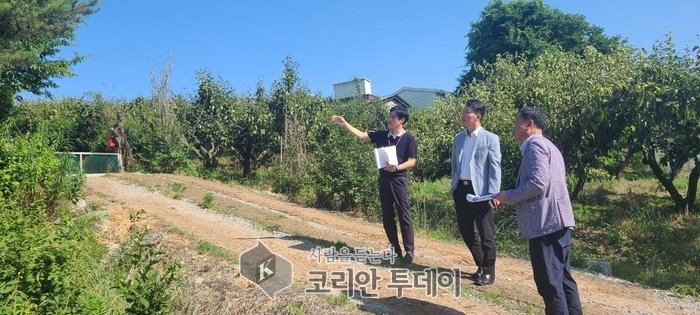 [코리안투데이] 토지거래허가 실태조사 © 이윤주 기자