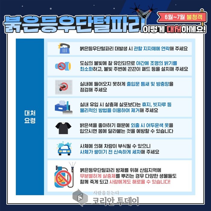 6~7월 불청객 사랑벌레(러브버그) 대처법