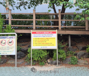 강북구, 여름철 하천 불법행위 집중점검…“쾌적하고 안전한 환경 조성”