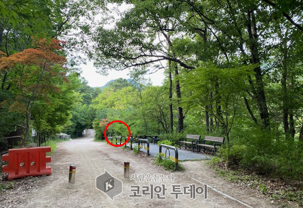 [코리안투데이] 산불감시용 블랙박스 설치될 예정인 우이동 산 1-18 (출처 : 강북구청) © 정동필 기자