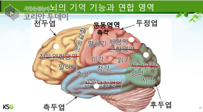 [ 코리안 투데이 ] 뇌의 기억 기능과 연합 영역 그래픽 서초지부 ⓒ 임명희 기자