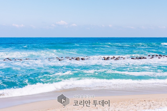 [코리안투데이] 강릉비치비어 ©우정희 기자