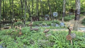 은평구, 치유의 편백나무 숲 온실가스 저감 및 미세먼지 감소에 기여