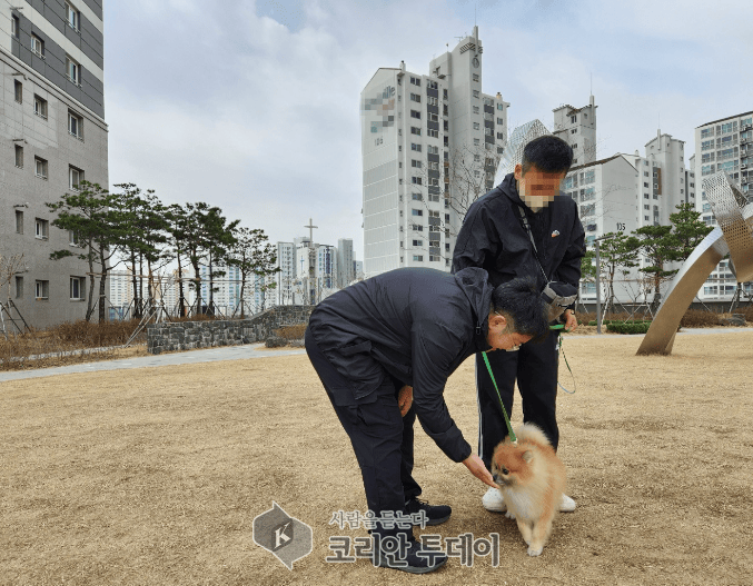 [코리안투데이] 구로구 '찾아가는 펫마스터' 프로그램 진행사진 © 박수진 기자