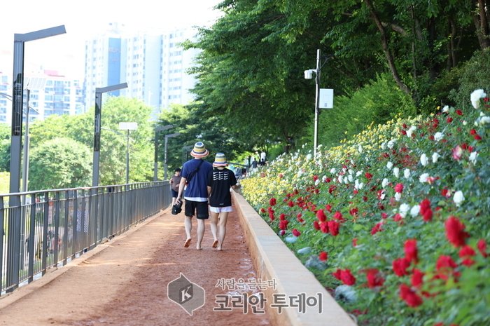 [코리안투데이] 안양천신정교 인근 황톳길 모습 © 박수진 기자