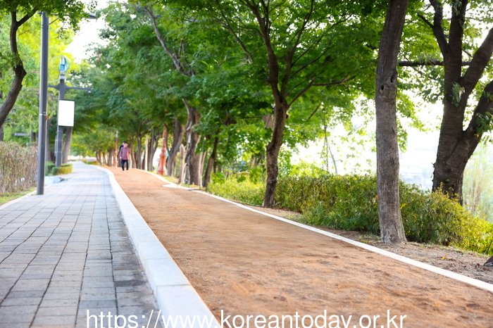 [코리안투데이] 안양천 연지근린공원 황톳길 모습© 박수진 기자