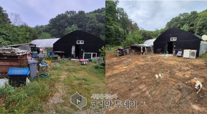 [코리안투데이] 처인구 남사읍 지역사회보장협의체는 지원봉사자들과 함께 주거환경 개선 사업을 진행했다. © 김나연 기자