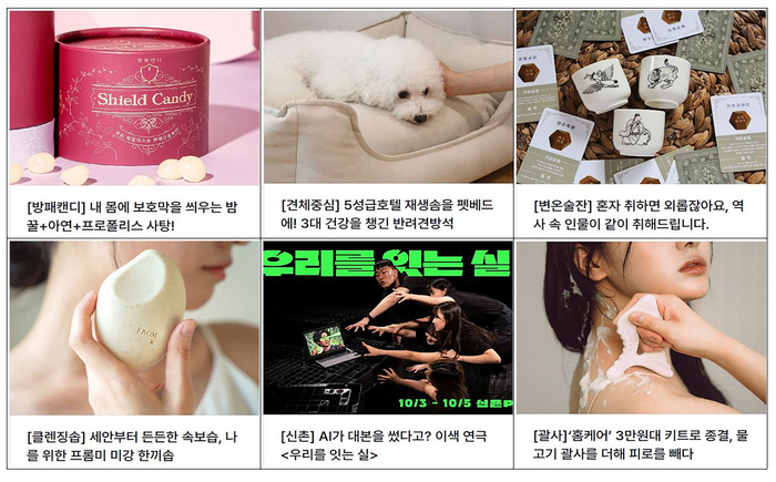 [코리안투데이] '25개팀 청년창업 지원' 크라우드펀딩 시작(투자아이디어 상품들) © 김나연 기자