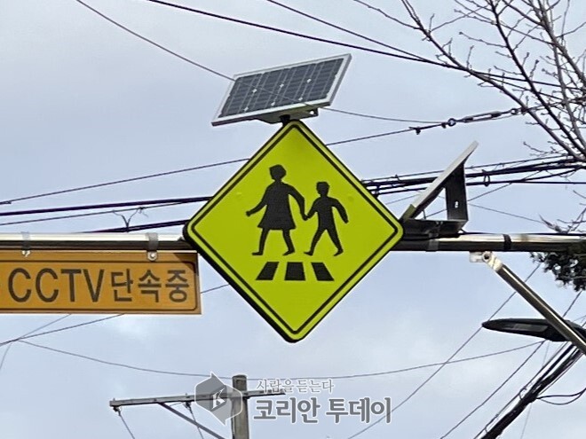 [코리안투데이] 노란횡단보도표지 © 송정숙 기자