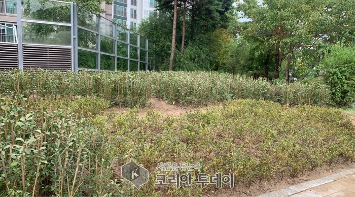 [코리안투데이] 성북동 지반 침하 현장 복구 완료한 사진 © 김나연 기자
