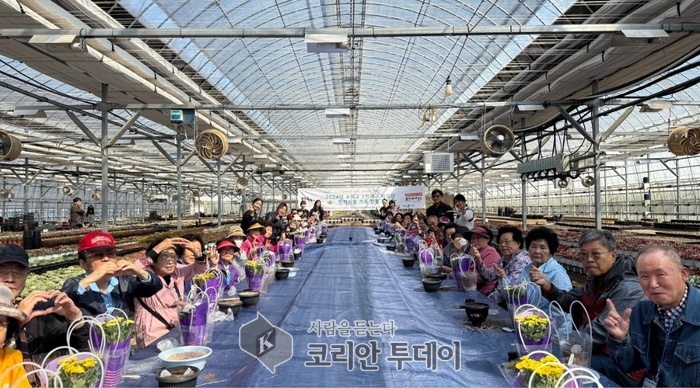 [코리안투데이] 용인특례시 수지구는 홀로 어르신 반려식물 나눔 행사에 진행했다. © 김나연 기자