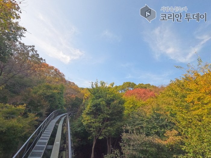 [코리안투데이] 숲속 깊은 곳에서 만난 모노레일을 타며 우리는 숲의 절경을 한눈에 내려다볼 수 있었다. © 이명애 기자