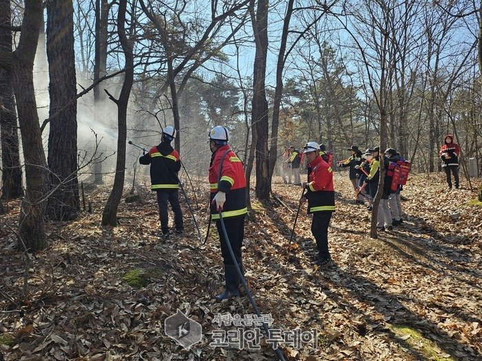 [코리안투데이] 내달 15일까지 산불취약지역 감시강화·불법소각행위 집중단속© 이윤주 기자