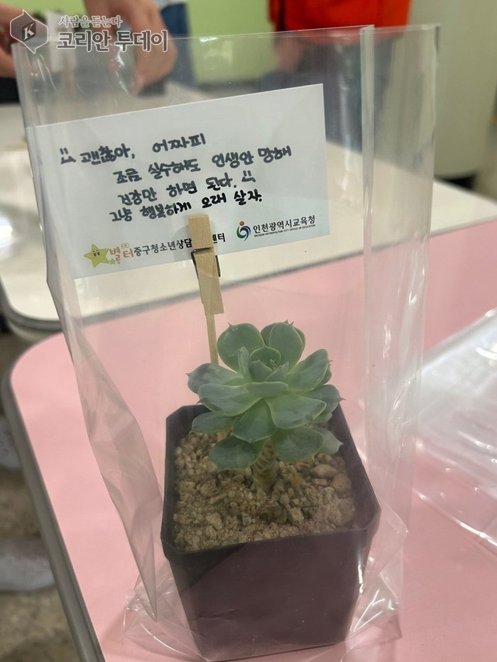 [코리안투데이] 올해 반려 식물 나눔으로 생명의 소중함 전해진 반려식물 © 김미희 기자