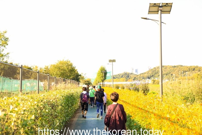 [코리안투데이] 사진 구로구 언론팀 제공 지난 9월에 진행된 구로 탄소제로 걷기행사 사진 © 박수진 기자