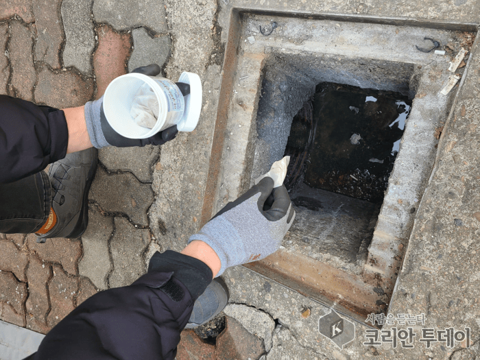 겨울철 한파 속에서도 모기와의 전쟁 시작
