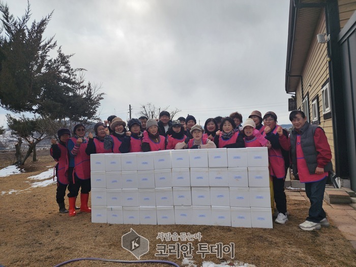 [코리안투데이] 장군면 생활개선회, 직접 담근 배추김치로 온정 나눠 © 이윤주 기자
