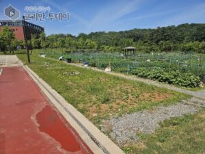 인천중구시설관리공단, 2025년 도시농업활동 참여자 모집