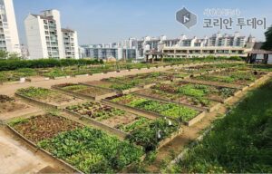 도시농업농장 ‘어울림 텃밭’ 참여자 모집