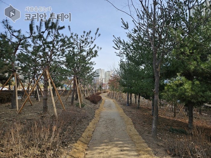 [코리안투데이] 2ha 규모로 조성된 ‘기후 대응 도시 숲’ © 김미희 기자