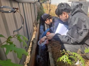 안성시, 가축분뇨 양돈농가 정화방류시설 특별점검 실시