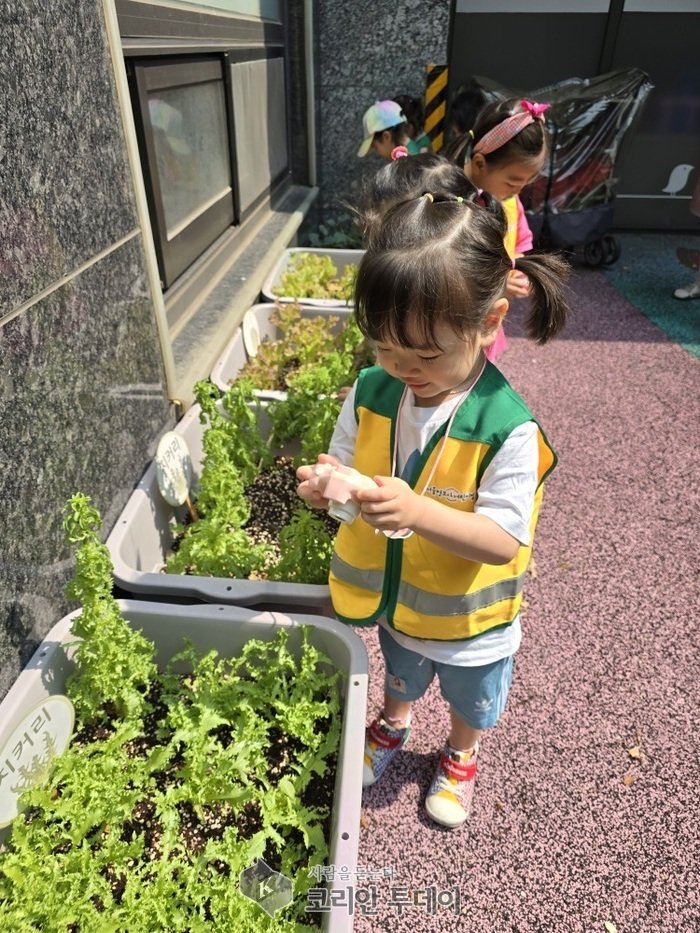 [코리안투데이] 강남구 상자 텃밭 이용하는 어린이 (강남구청 제공) © 최순덕 기자