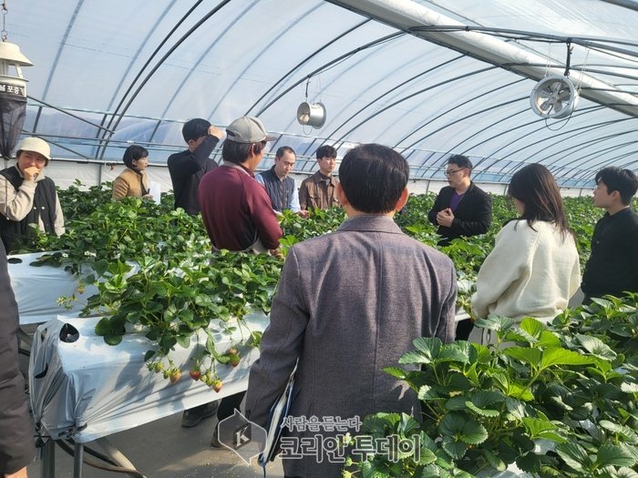 [코리안투데이] 지난 13일 금산군농업기술센터에서 열린 꿀벌 소실 대응 화분매개기술 현장설명회 모습(사진제공: 금산군청) © 임승탁 기자