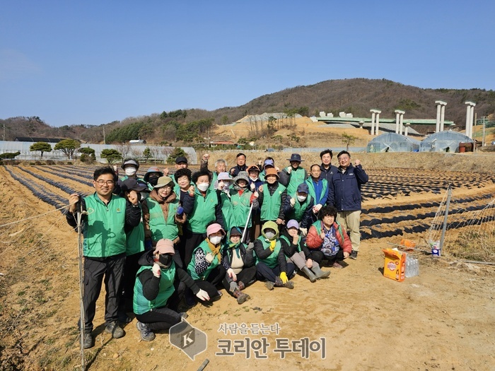 [코리안투데이] 전동면 새마을회 이웃사랑 감자심기© 이윤주 기자