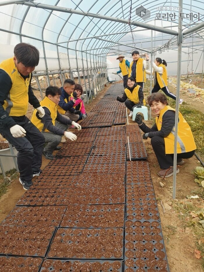[코리안투데이] 대덕면 주민자치회, 꽃 모종으로 마을 가득 물들이다 © 이명애 기자