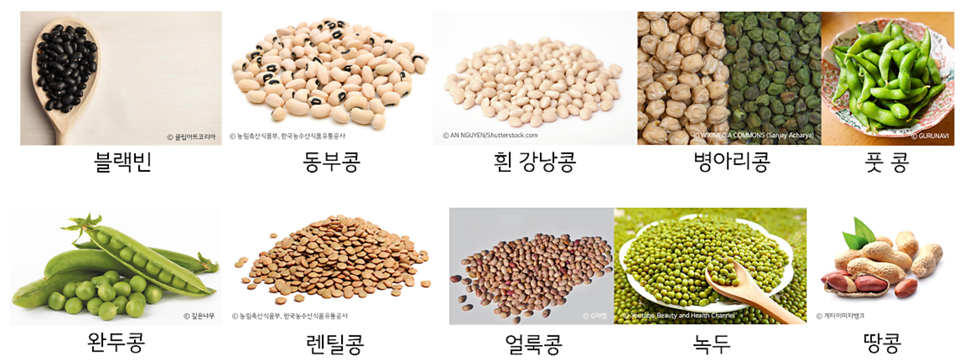 [마크로비오틱 2] 마크로비오틱 식재료 기초: 자연이 주는 건강한 에너지