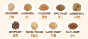 [마크로비오틱 2] 마크로비오틱 식재료 기초: 자연이 주는 건강한 에너지