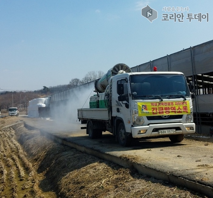 [코리안투데이] 안성시, 구제역 이상 無… 차단방역 총력 대응 © 이명애 기자