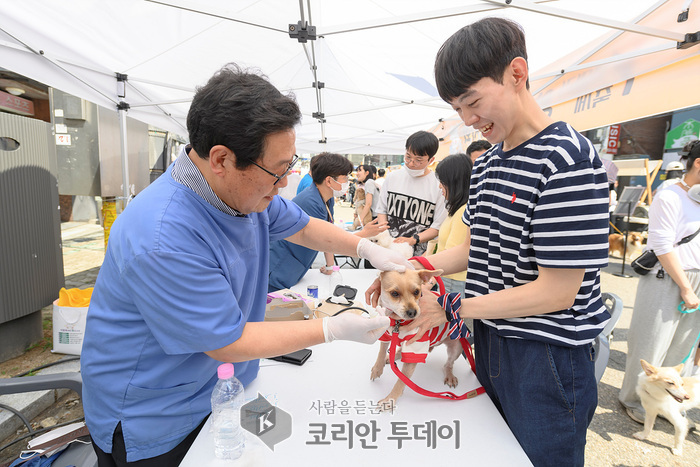 [코리안투데이] 지난해 개최된 양천구 반려동물 문화축제에서 건강상담을 받고있는 반려동물© 변아롱 기자