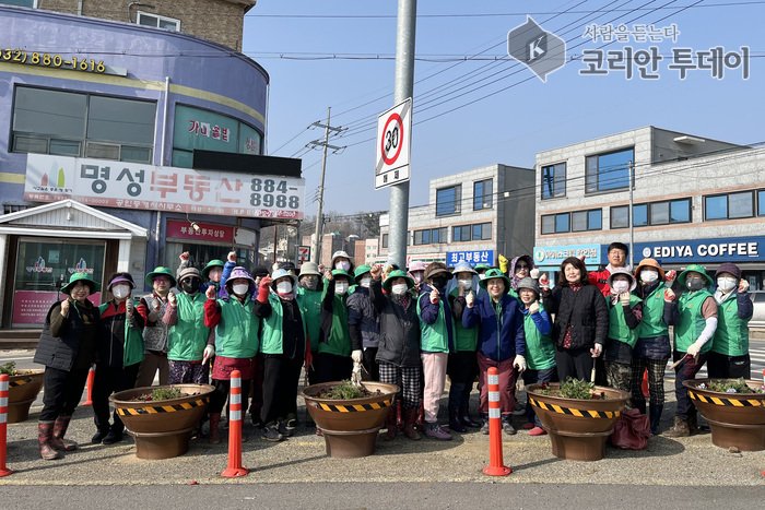 [코리안투데이] 봄꽃 식재로 관광 관문 ‘꽃길’ 조성한 영흥면 주민들 © 김미희 기자