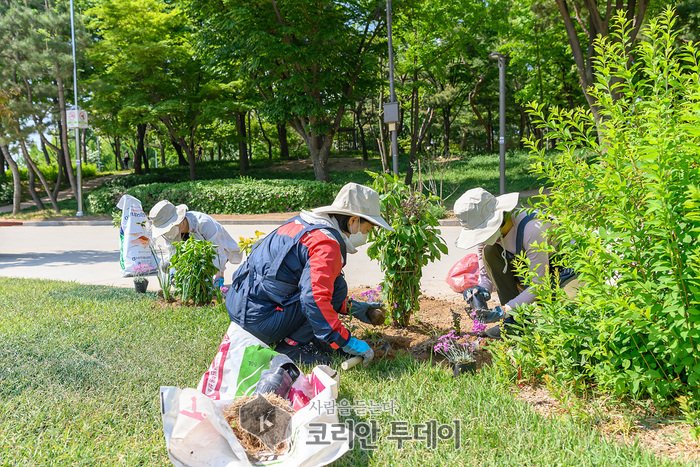 [코리안투데이] 양천구 정원 자원봉사자 ‘정원친구’들이 가드닝활동을 하는 모습 © 변아롱 기자