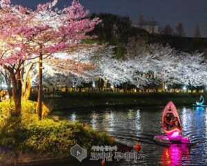 ‘2025 호수벚꽃축제’ 개최…벚꽃과 문화예술이 만나는 특별한 5일, 송파구