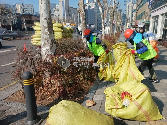 [코리안투데이] 사진 구로구 언론팀 제공 새봄맞이 가로수, 녹지대 정비 사진 © 박수진 기자