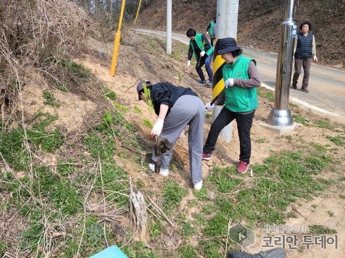 [코리안투데이] 푸른 금남을 심다…‘금남사랑 식목행사’ 성료 © 이윤주 기자