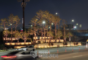 송파대로 관문, ‘정원형 소나무숲’으로 새단장…송파구