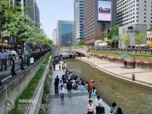 [포토뉴스] 청계천의 점심시간~~~중구