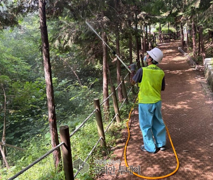 [코리안투데이] 계양산·천마산 주요 등산로 중심 예찰 및 약제 살포 집중 진행 © 지승주 기자