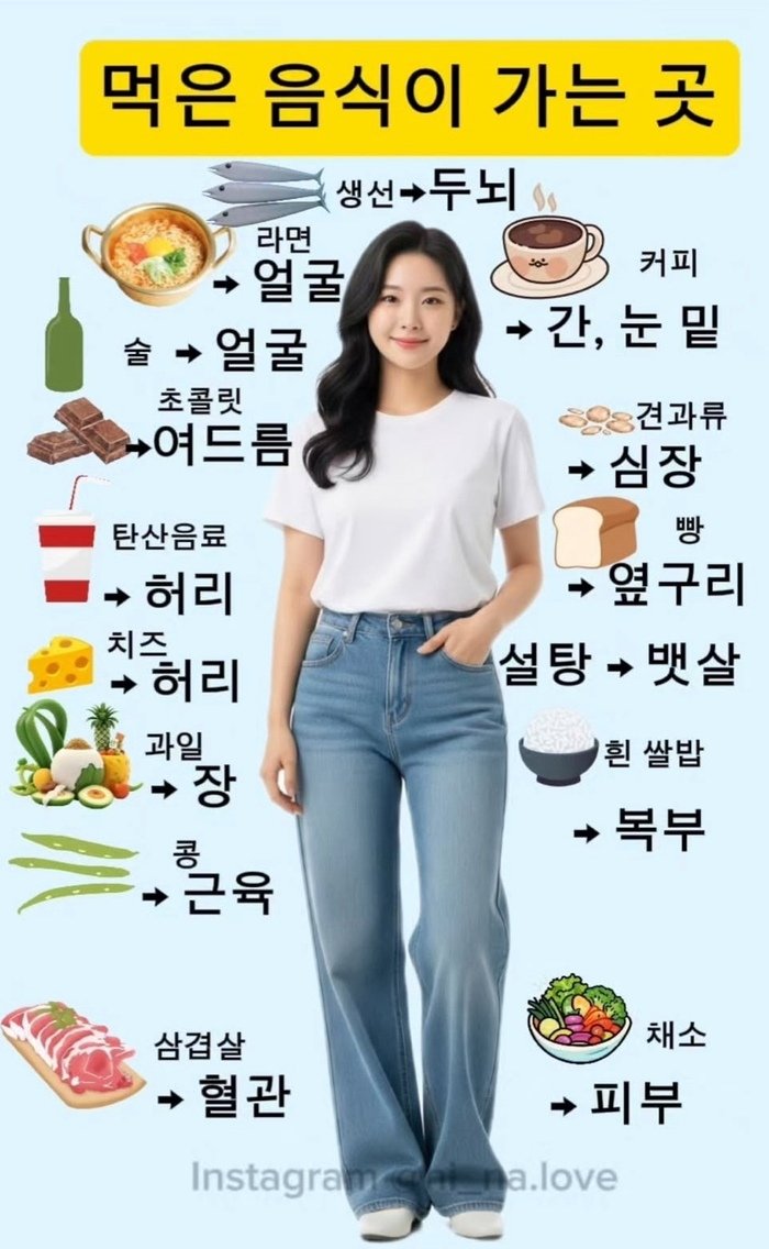 [코리안투데이] 음식이 신체에 미치는 영향, 시각적으로 확인해보자 © 김현수 기자