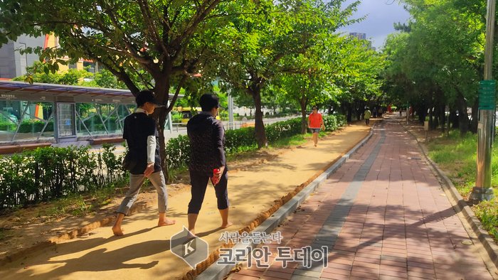 桂陽區孝城洞奉梧大路中央綠地 打造赤腳步道 成為四季可用的都市療癒空間